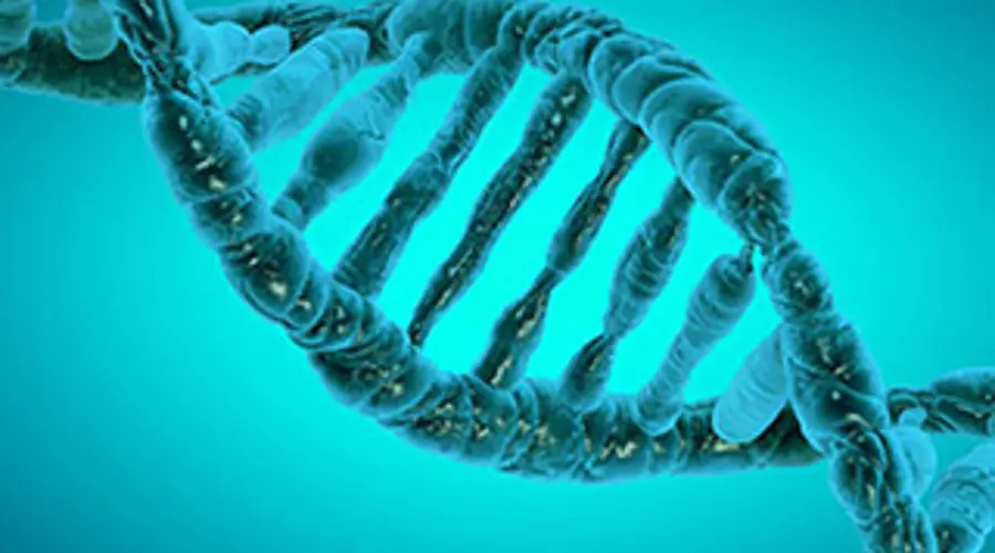 Epigenetics and the impact these have on the skin...