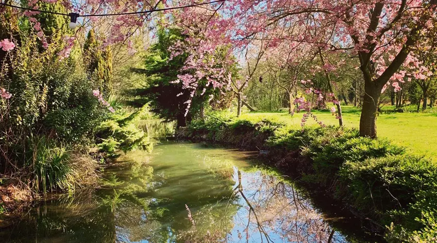 Transcendental Meditation Retreats 2020