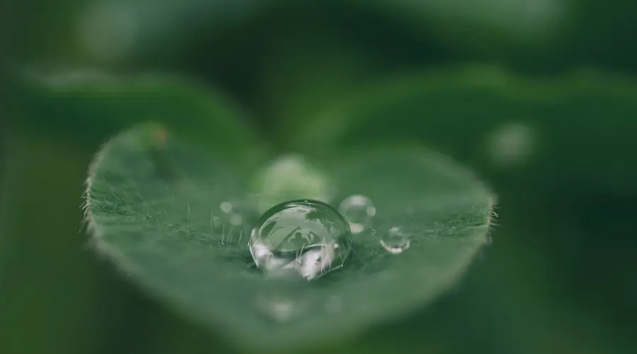 Don't forget to "Eat your water"...